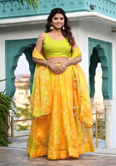 Jalpari Lehenga Set 104-YLW-NEW