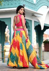 Rangeeli Lehenga Set 108-MUL-NEW