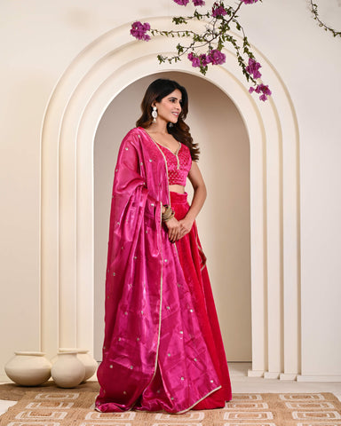 Pink Embroidered Velvet Lehenga Choli with Dupatta
