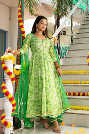Amulya Shibori Printed Green Suit Set 231-GRN